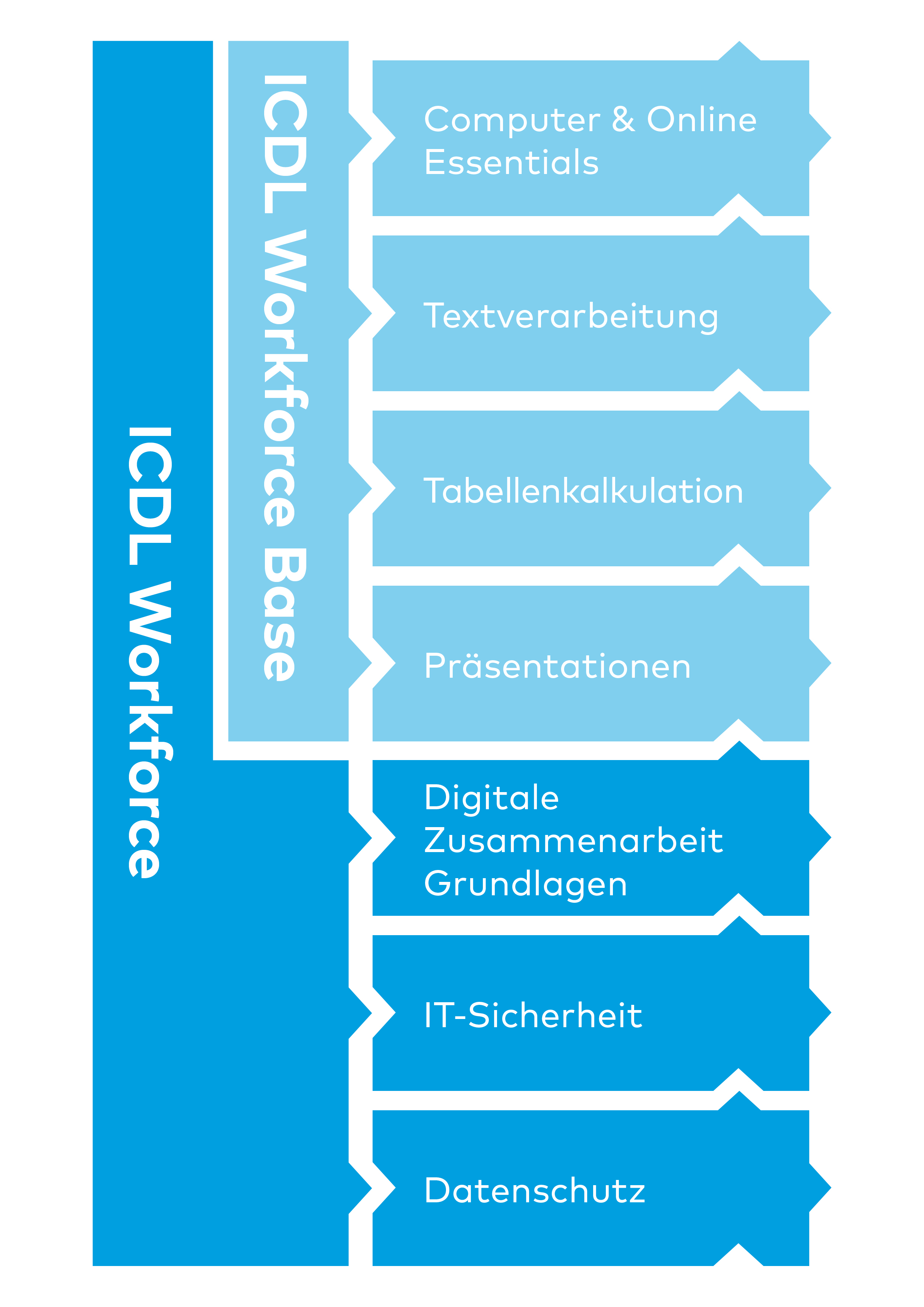 ICDL Workforce Grafik Update2021