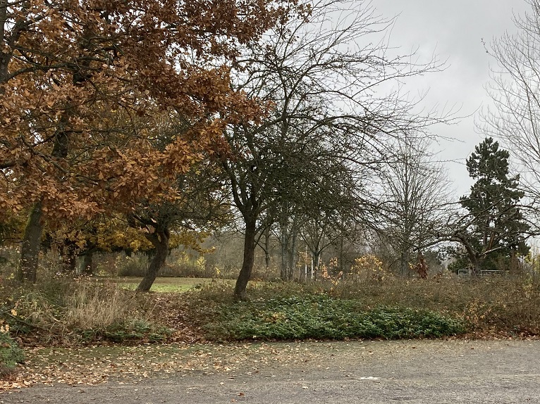 neu 07