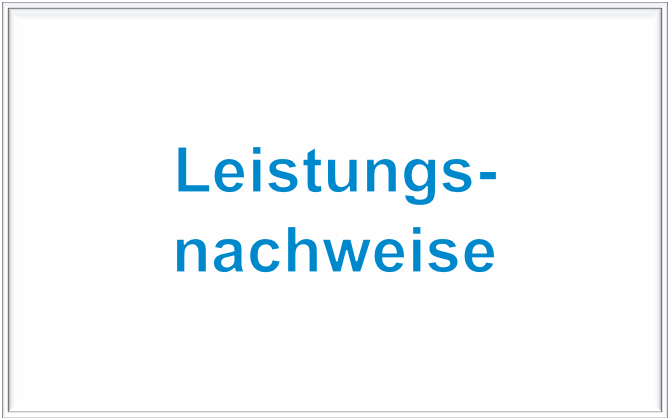 leistung